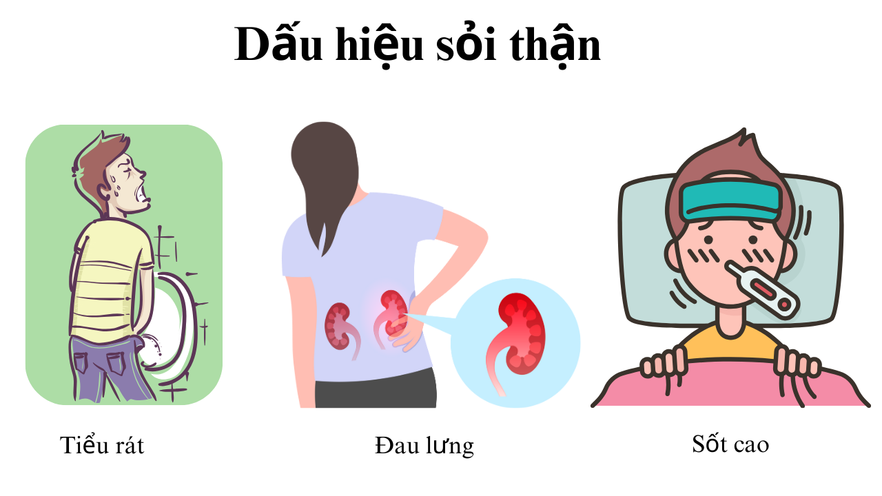 Dấu hiệu của sỏi thận